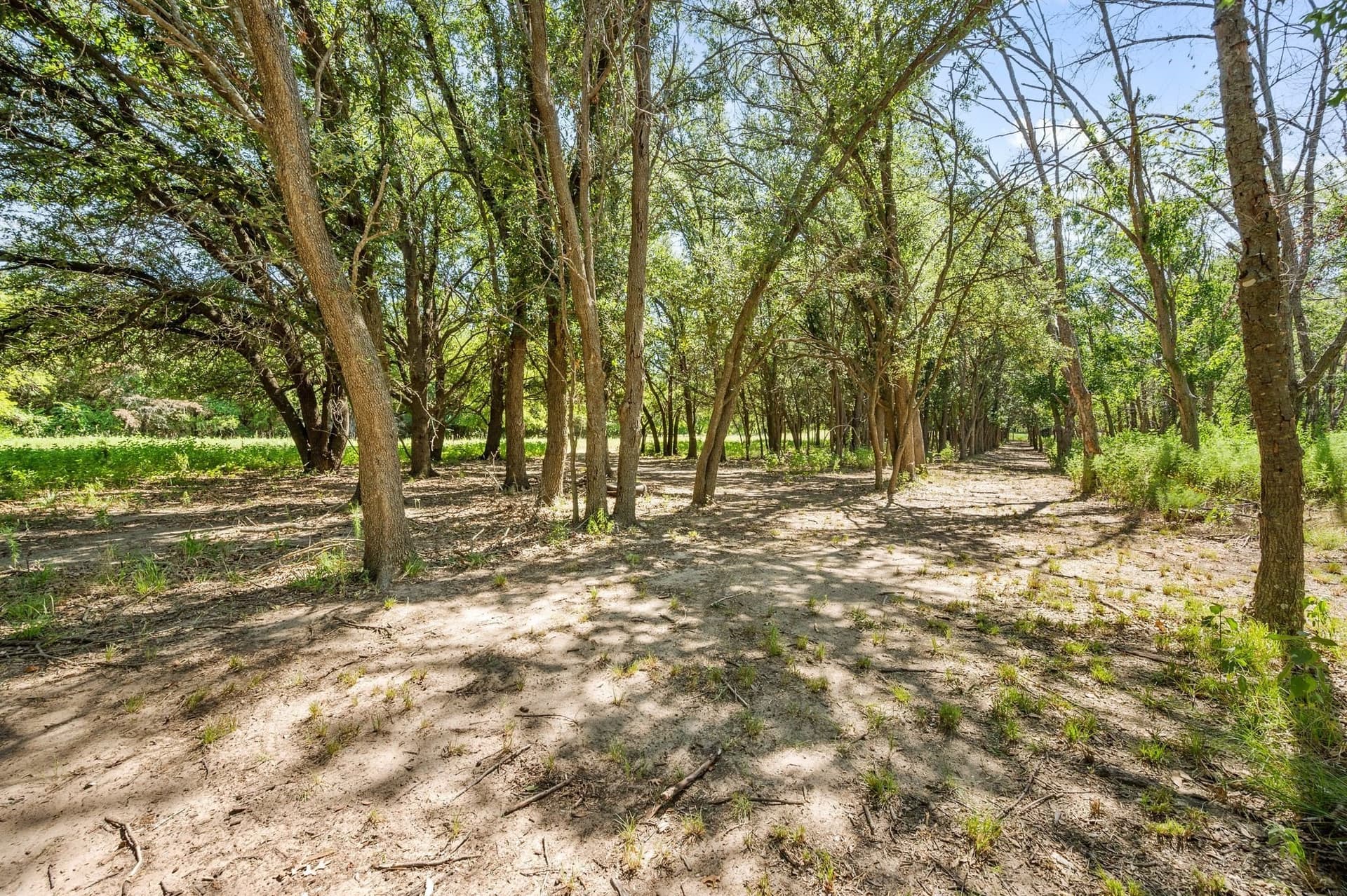 5.02 acres in Tarrant County - photo 15