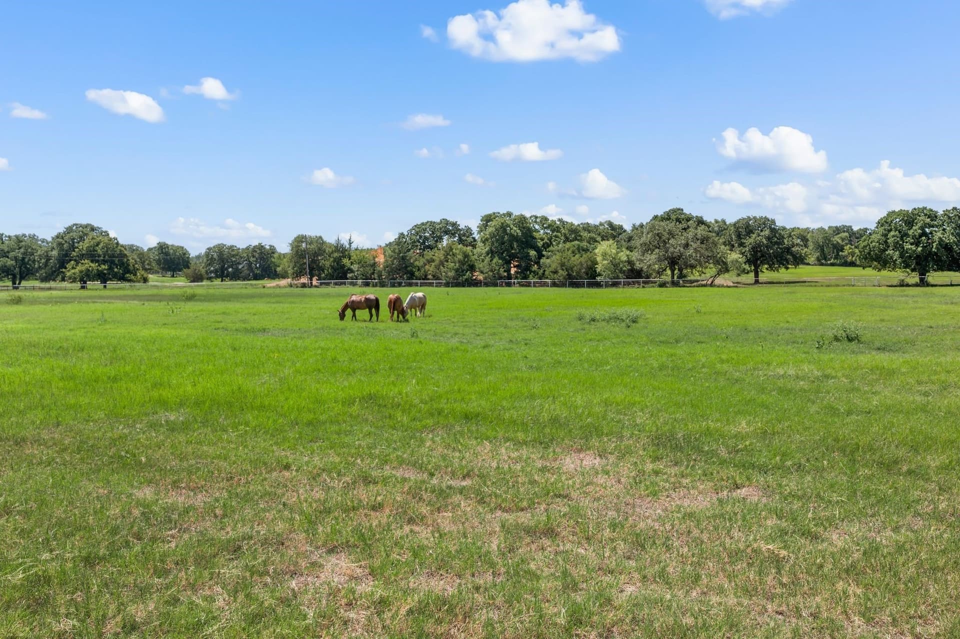 5.02 acres in Tarrant County - photo 22