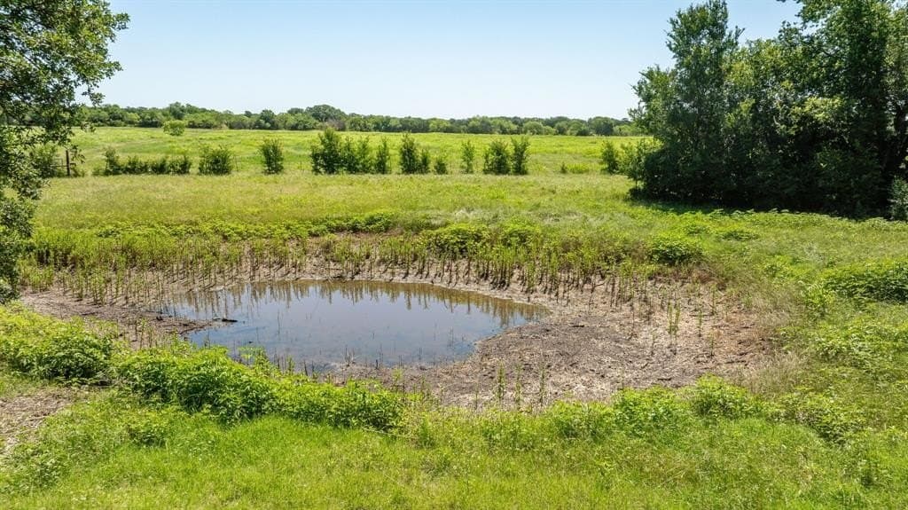 63.96 acres in Erath County gallery image 3