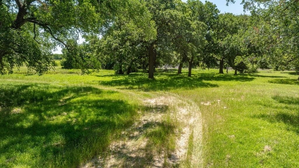 63.96 acres in Erath County gallery image 2