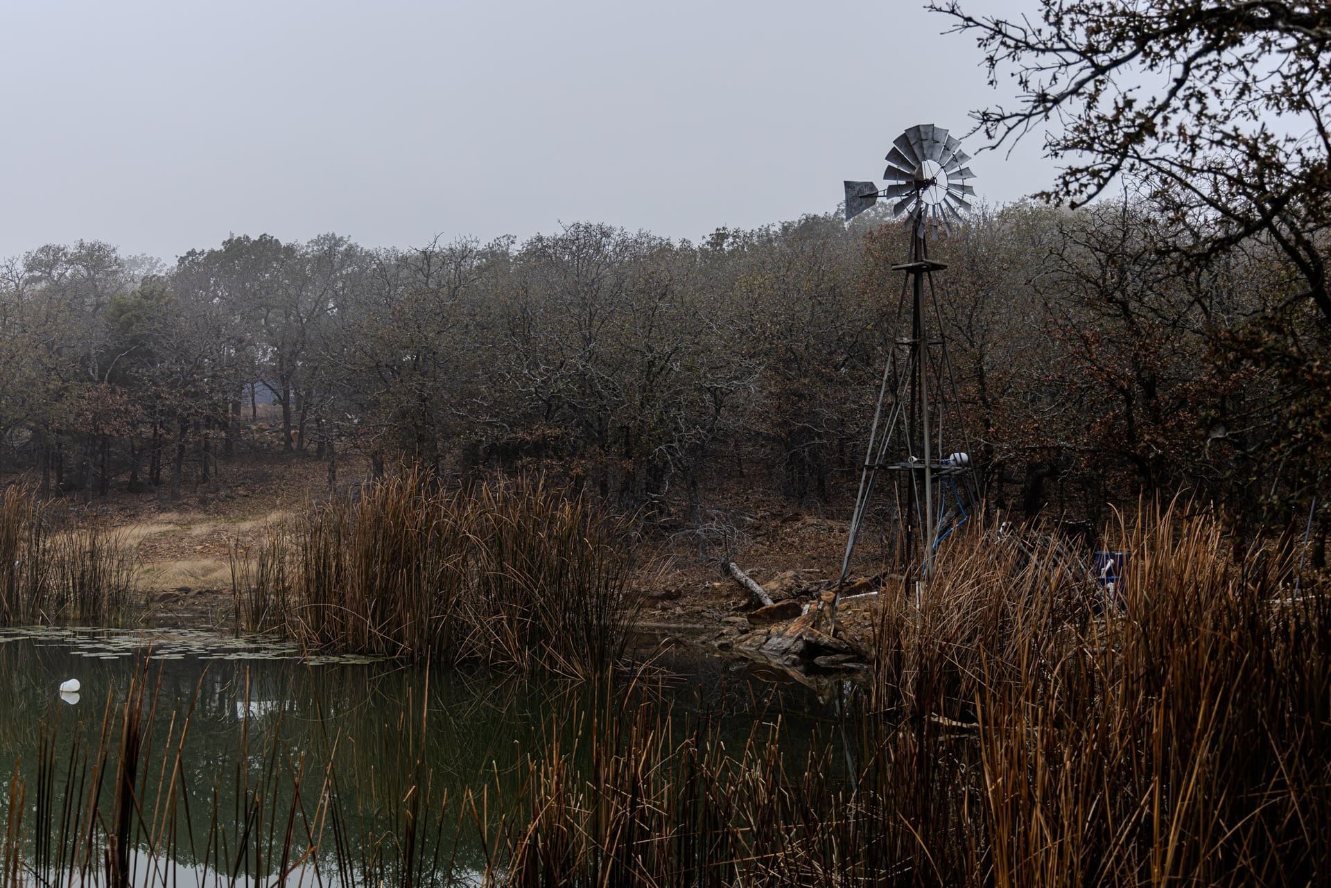 89.42 acres in Palo Pinto County - photo 2