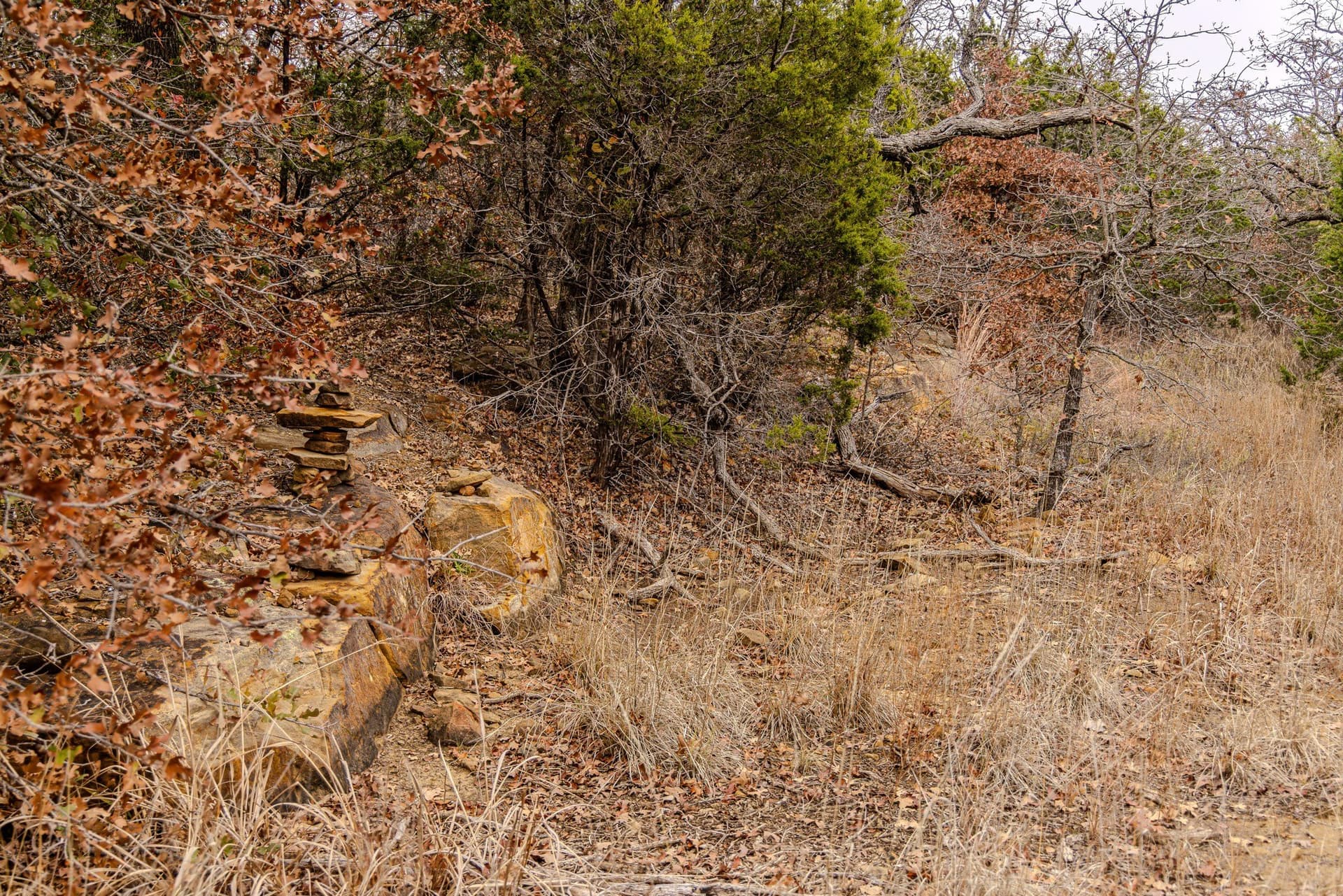 89.42 acres in Palo Pinto County - photo 22