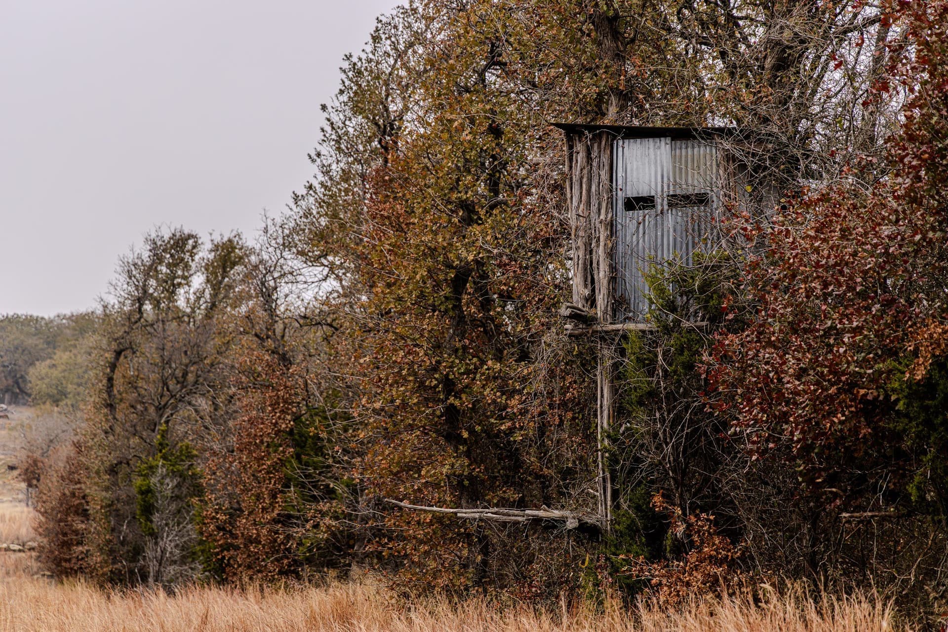 89.42 acres in Palo Pinto County - photo 29