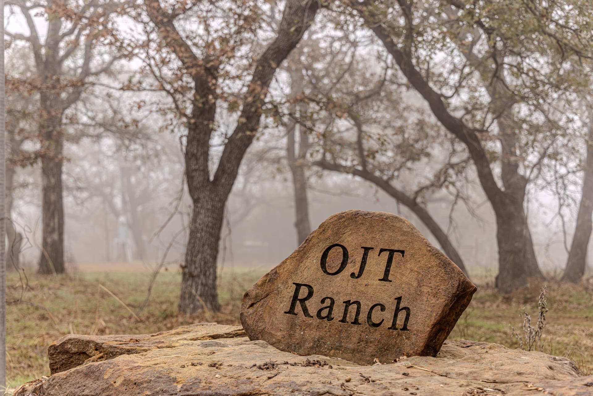 89.42 acres in Palo Pinto County - photo 4