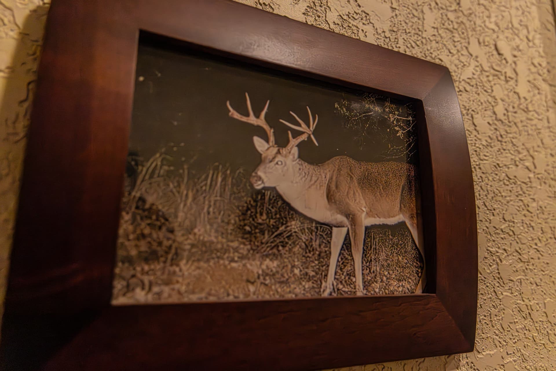 89.42 acres in Palo Pinto County - photo 33