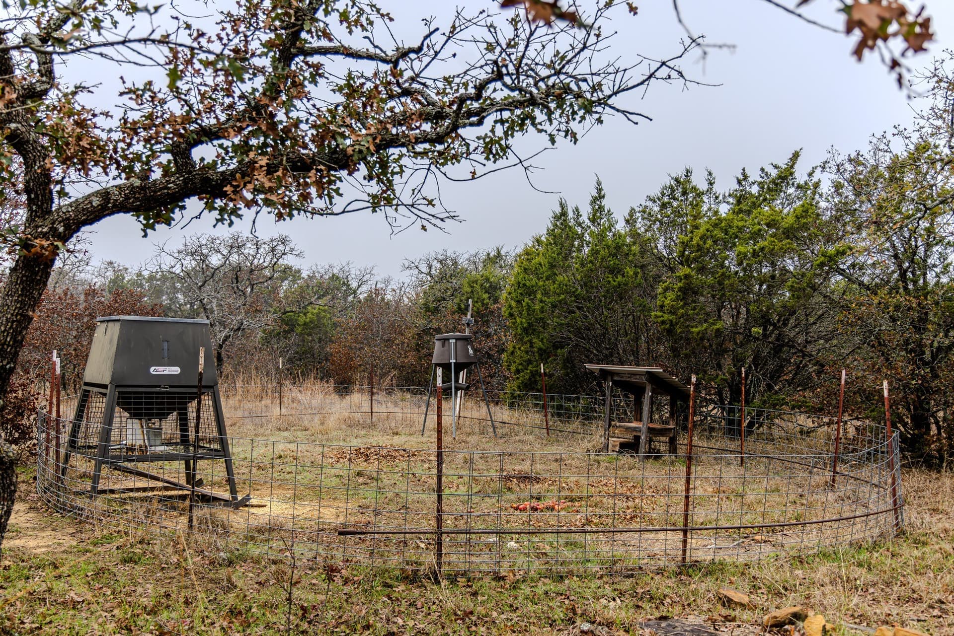89.42 acres in Palo Pinto County - photo 27