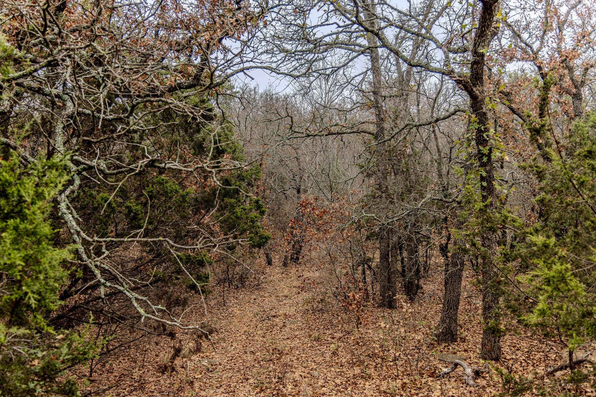89.42 acres in Palo Pinto County - photo 21