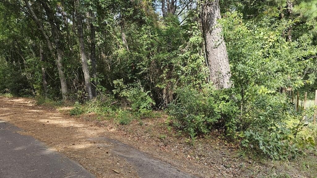 8.71 acres in Texas County - photo 7