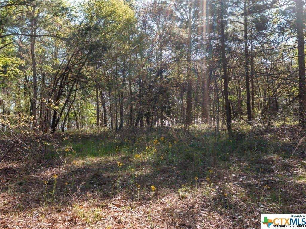 0.96 acres in Henderson County - photo 10