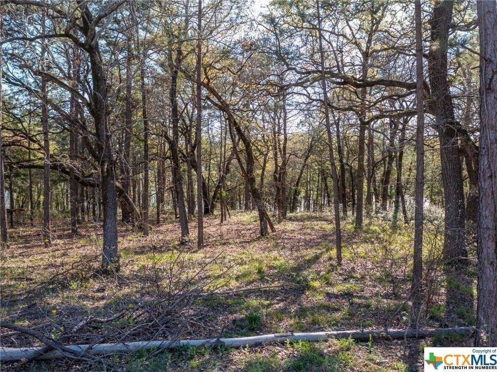 0.96 acres in Henderson County - photo 9