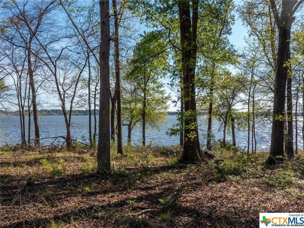 0.96 acres in Henderson County - photo 12