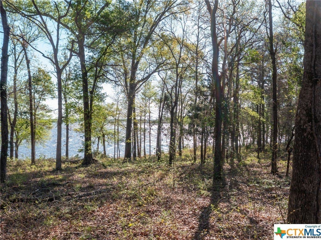 0.96 acres in Henderson County - photo 11