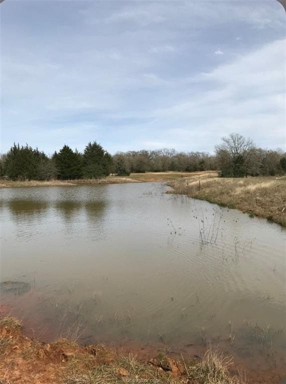 10.04 acres in Robertson County - photo 19