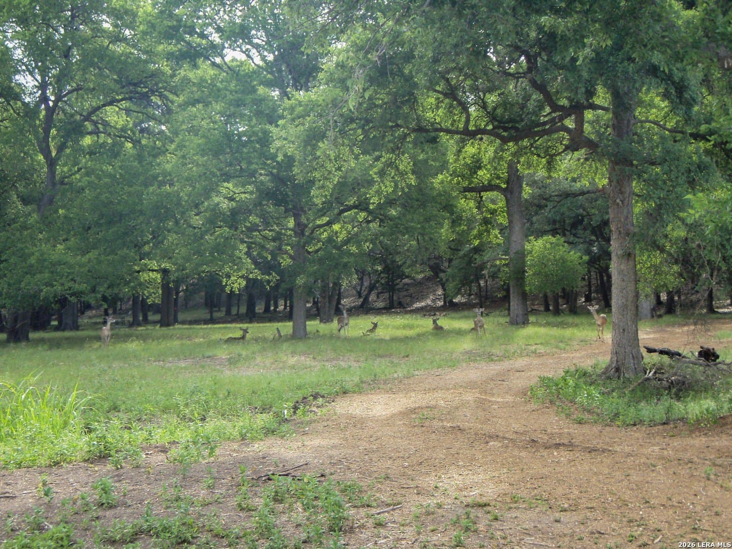 0.55 acres in Comal County - photo 27
