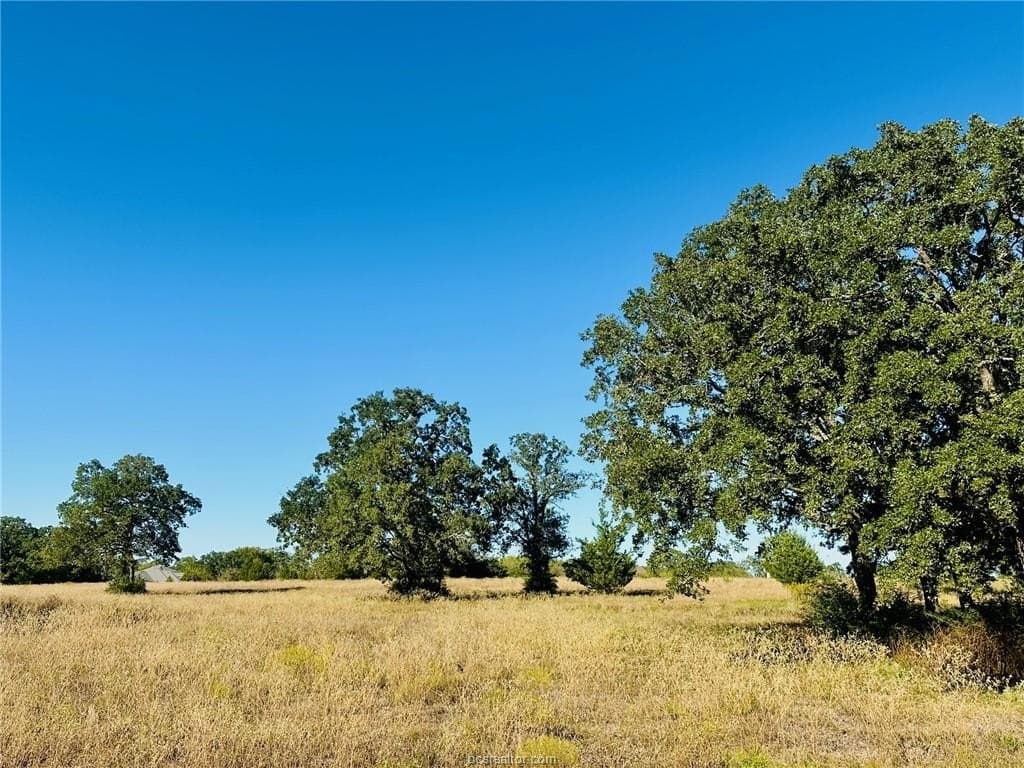 3.21 acres in Grimes County - photo 8