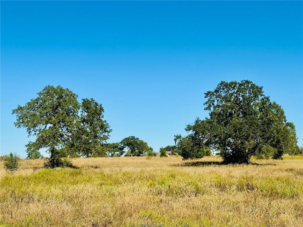 3.21 acres in Grimes County - photo 7