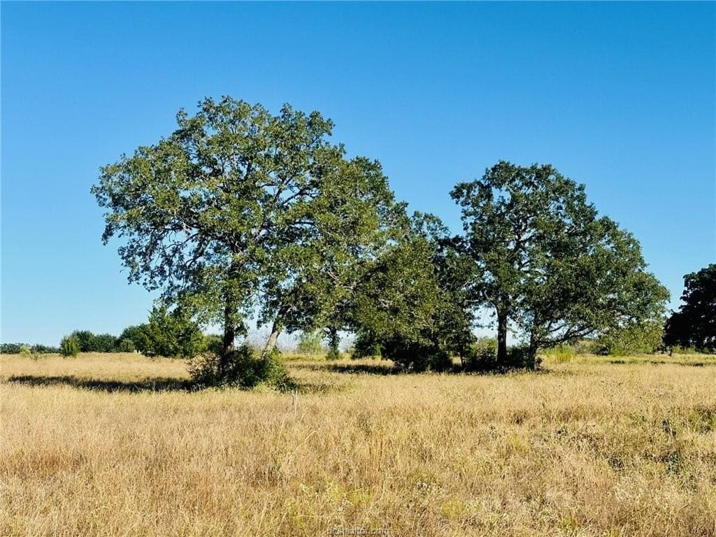 3.21 acres in Grimes County - photo 6