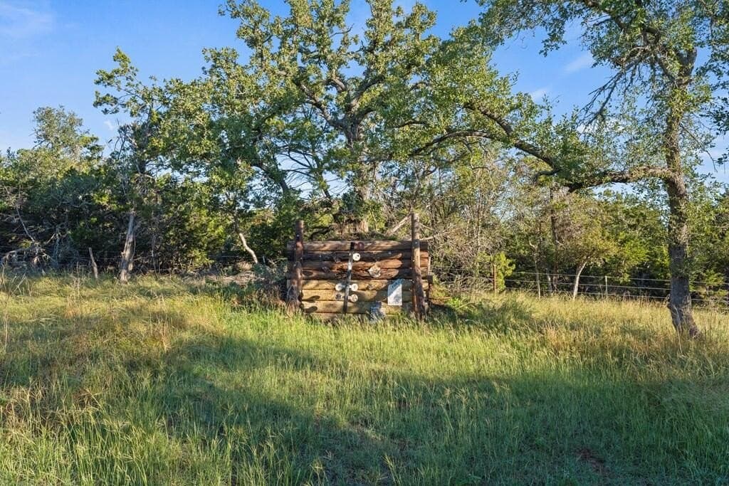 25 acres in Gillespie County - photo 9