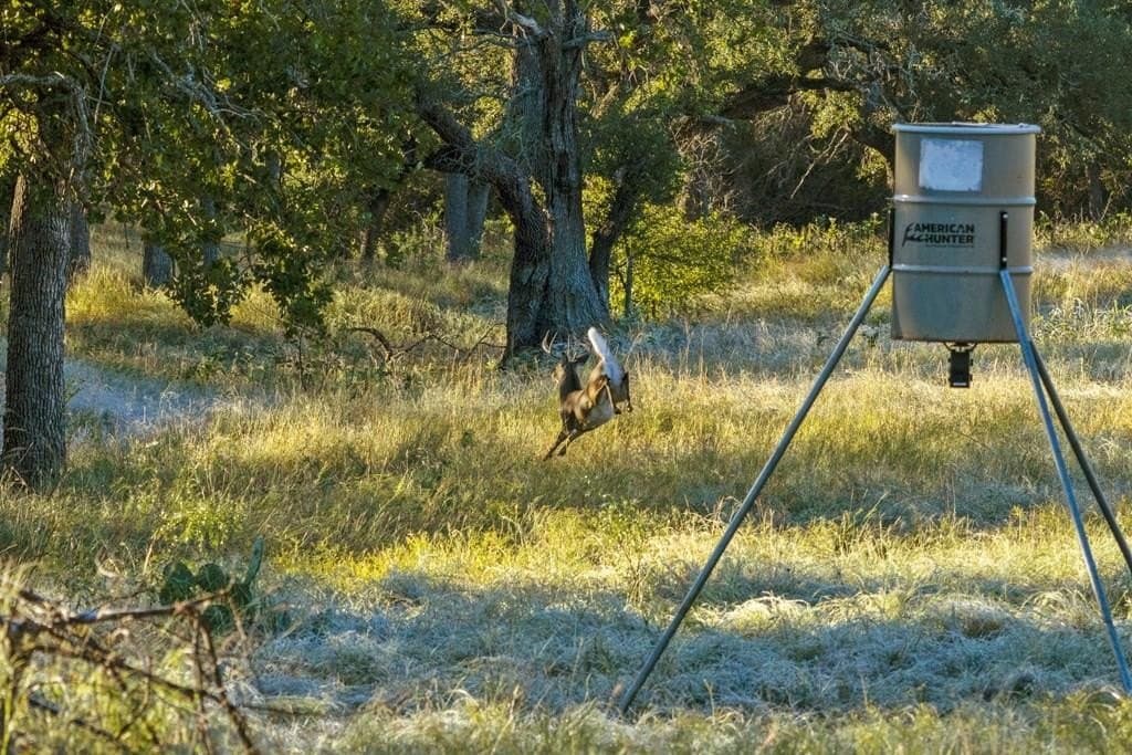 25 acres in Gillespie County