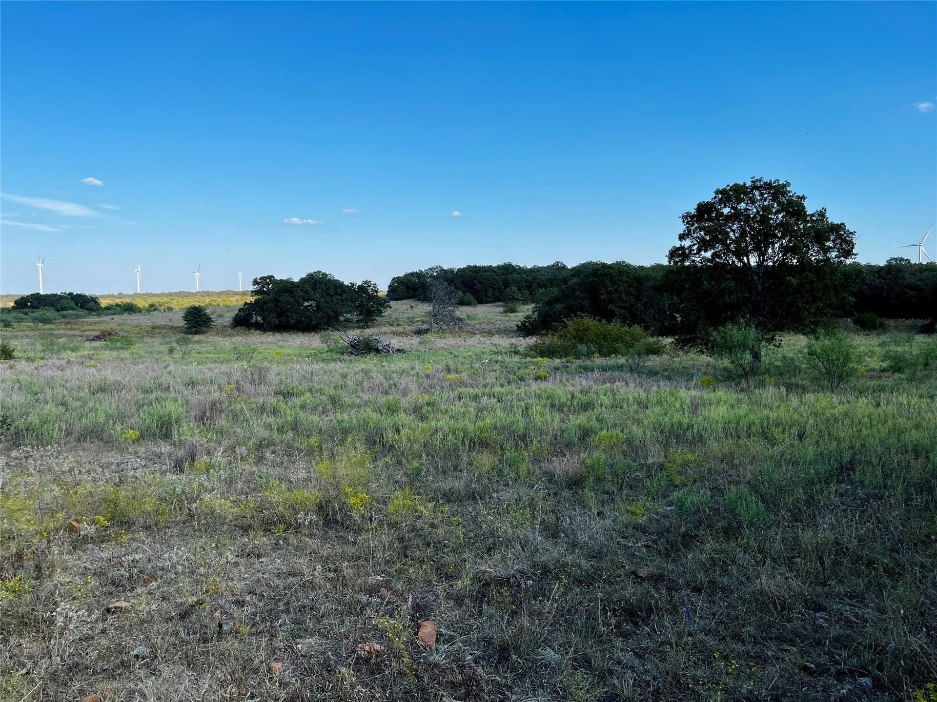 78.96 acres in Jack County - photo 19