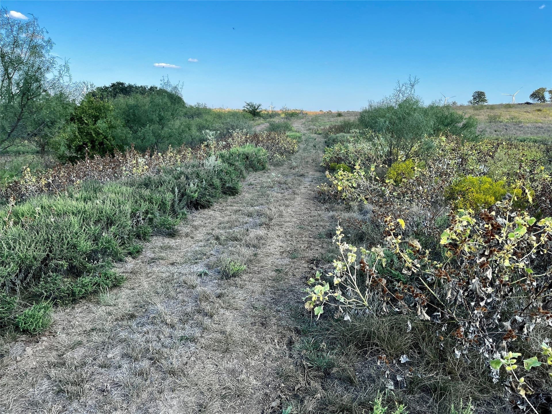 78.96 acres in Jack County - photo 22