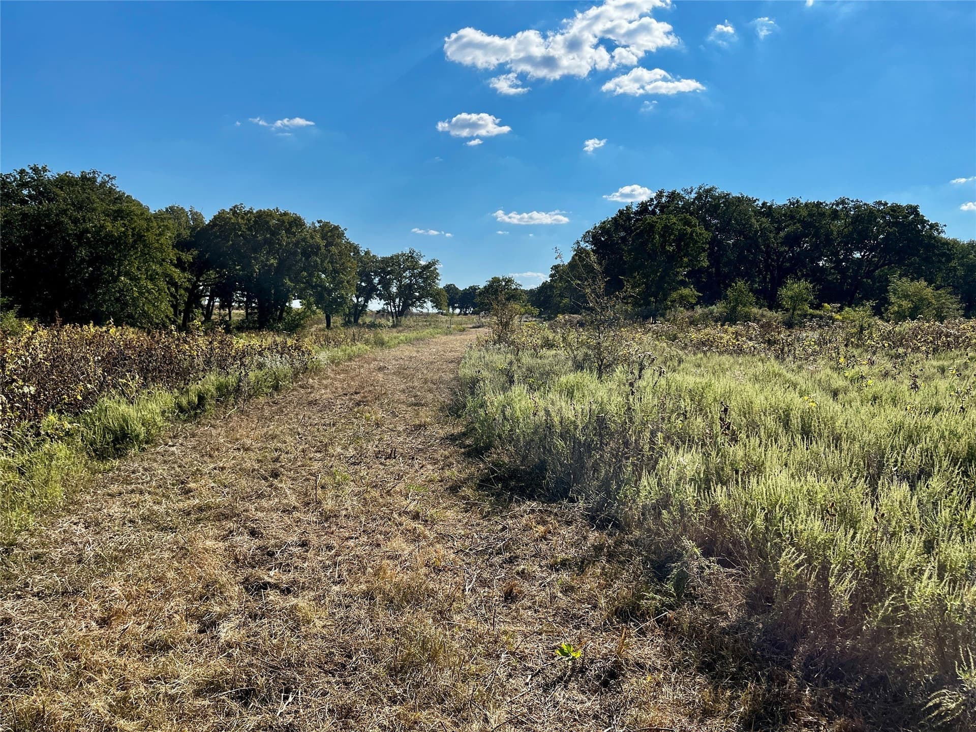 78.96 acres in Jack County - photo 8