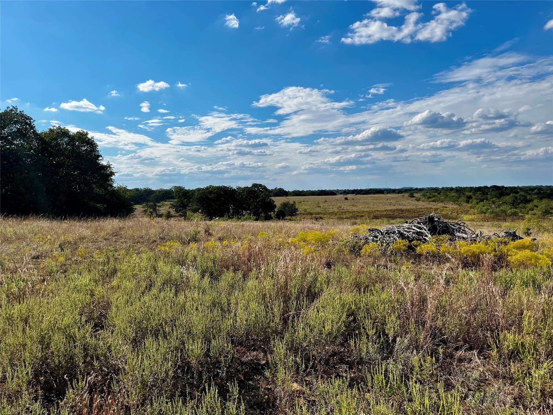 78.96 acres in Jack County - photo 25