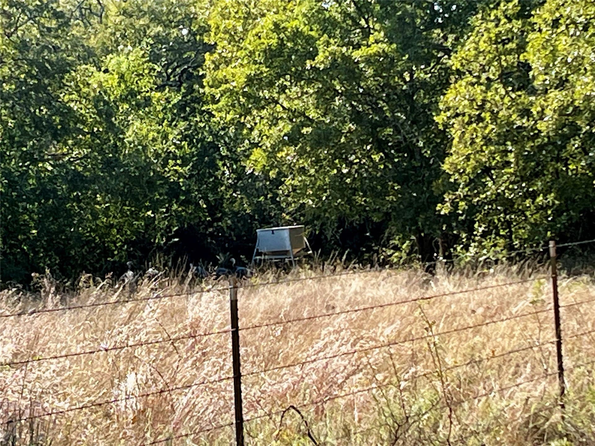 78.96 acres in Jack County - photo 10