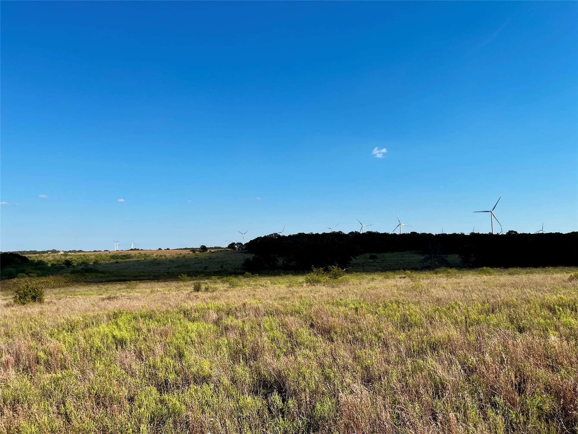 78.96 acres in Jack County - photo 15