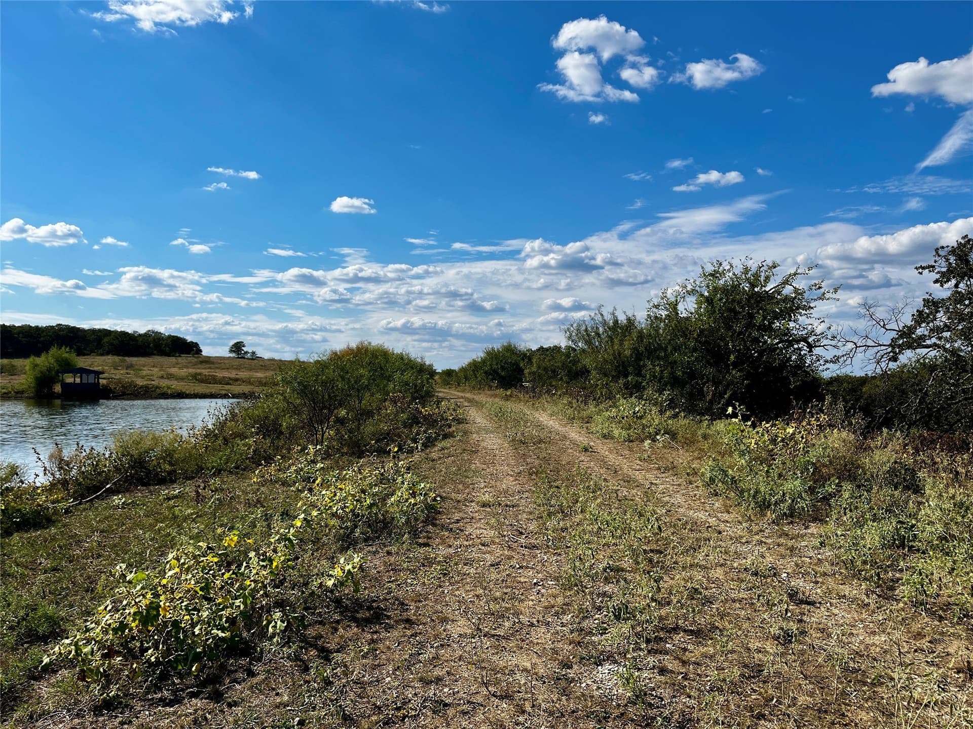78.96 acres in Jack County gallery image 3