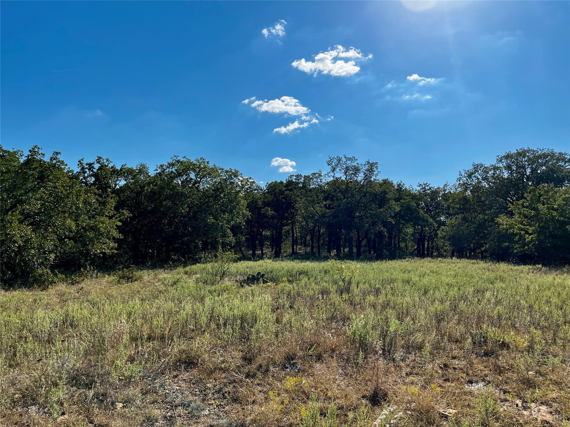 78.96 acres in Jack County - photo 23