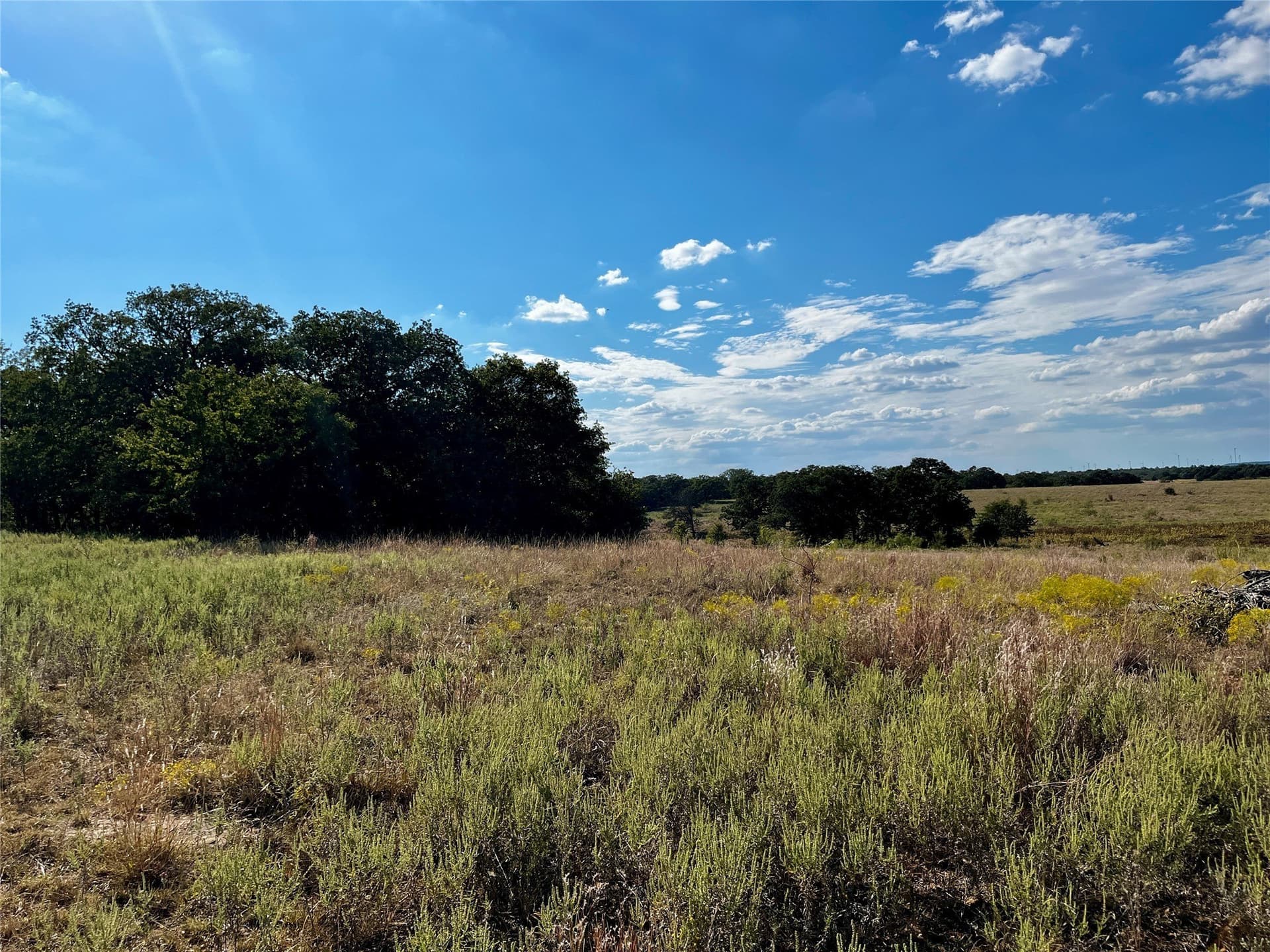 78.96 acres in Jack County - photo 28