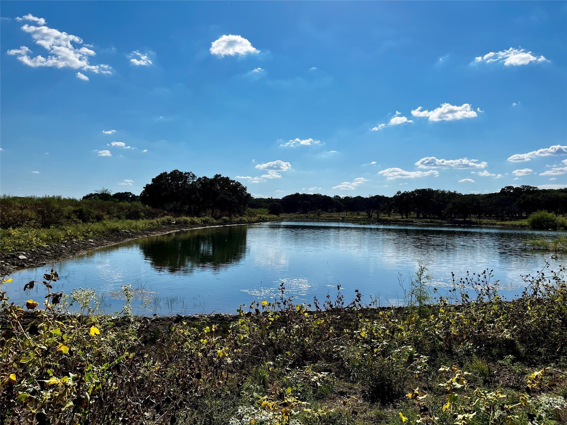 78.96 acres in Jack County gallery image 2