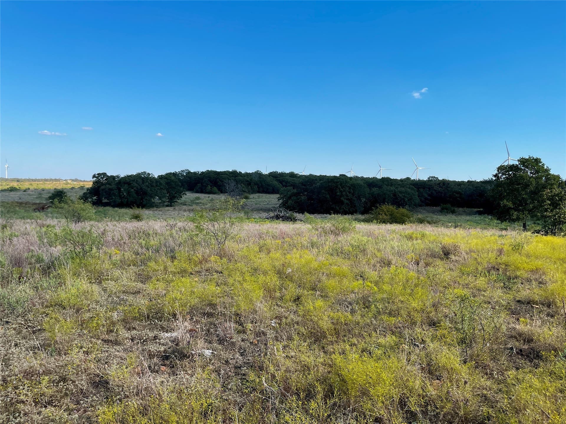 78.96 acres in Jack County - photo 18