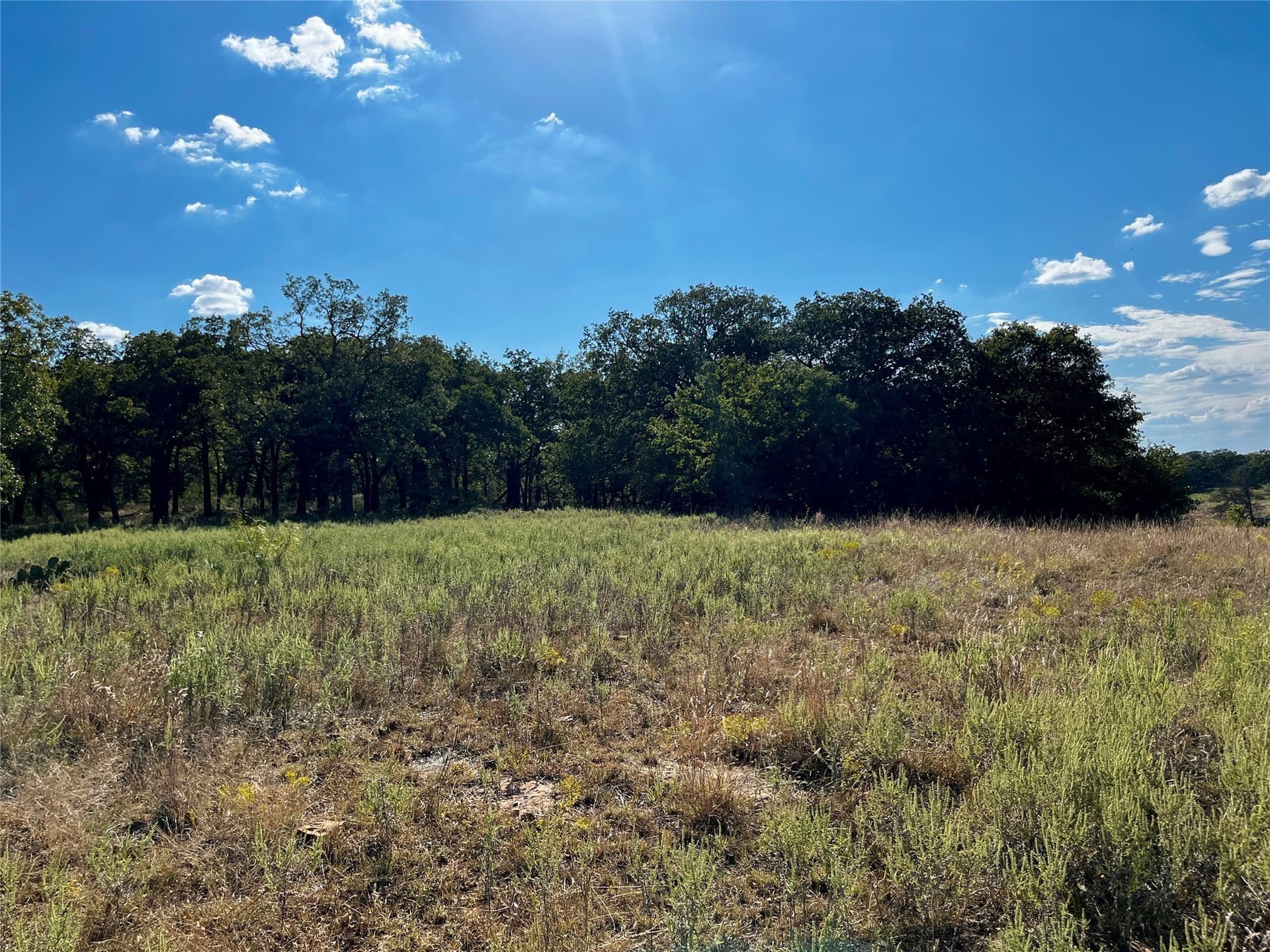 78.96 acres in Jack County - photo 29