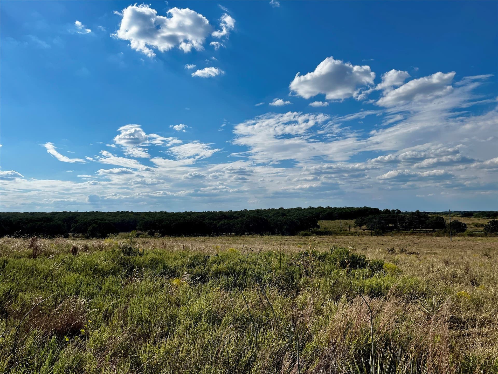 78.96 acres in Jack County - photo 33