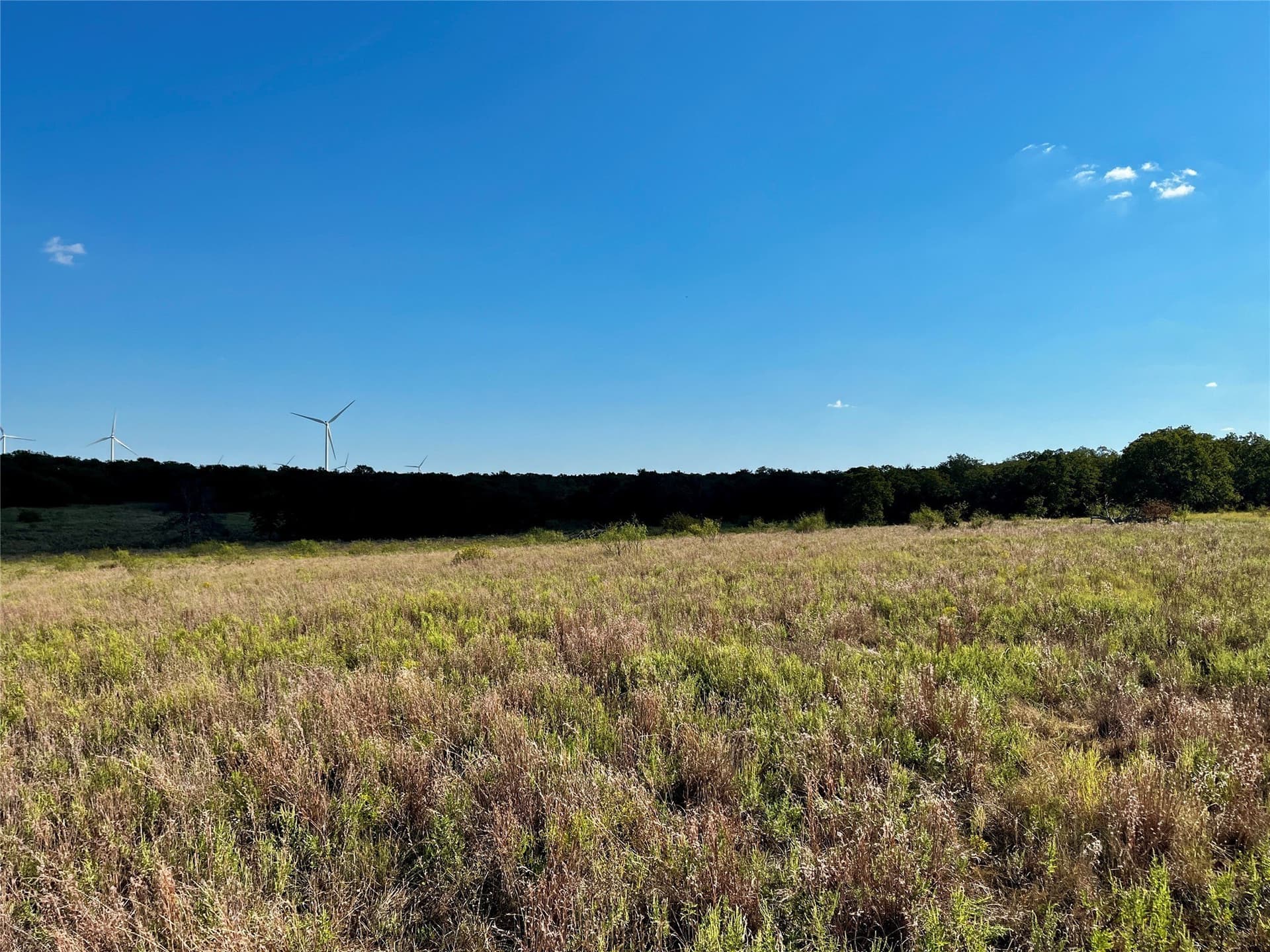 78.96 acres in Jack County - photo 16