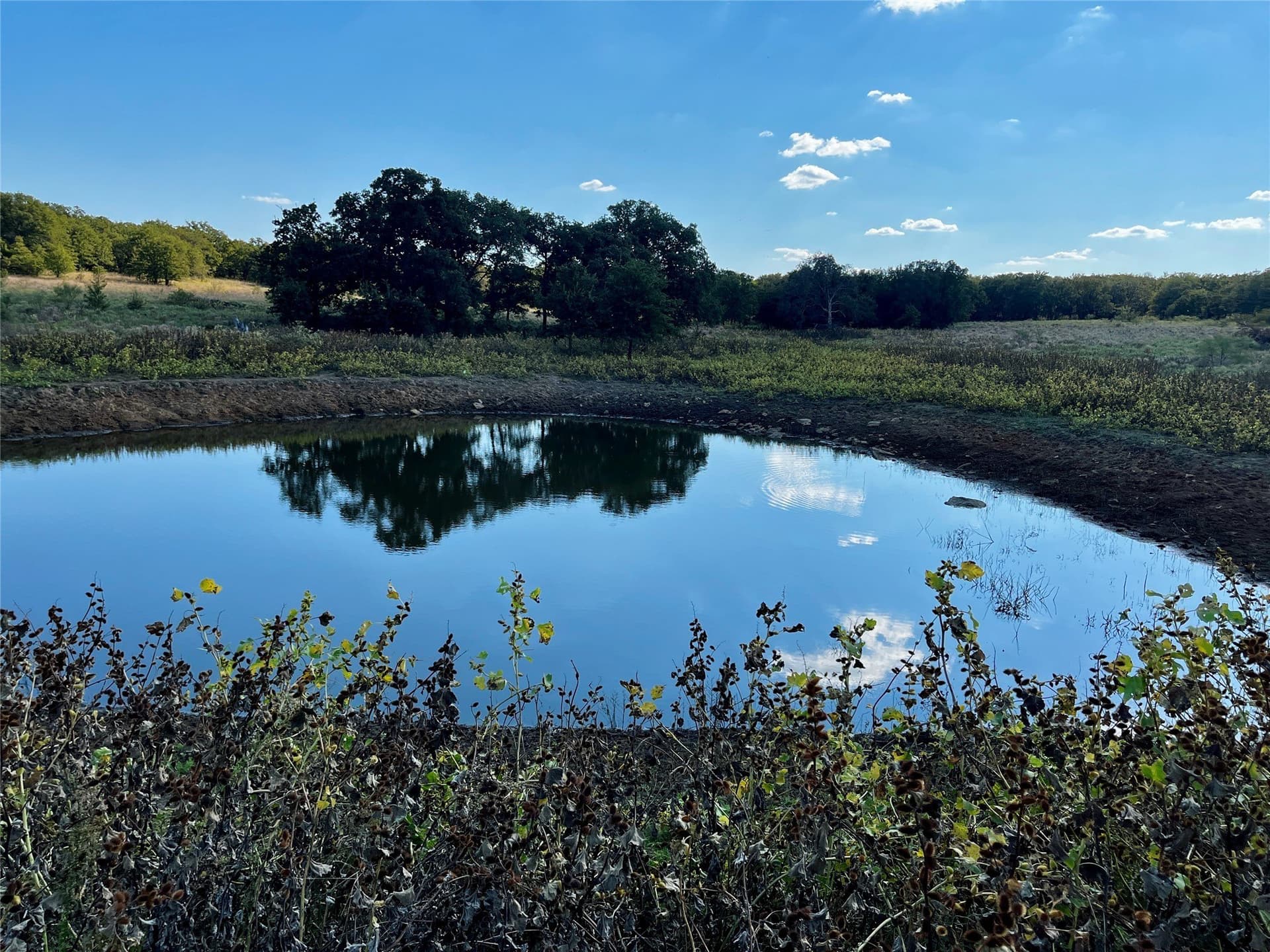 78.96 acres in Jack County - photo 20