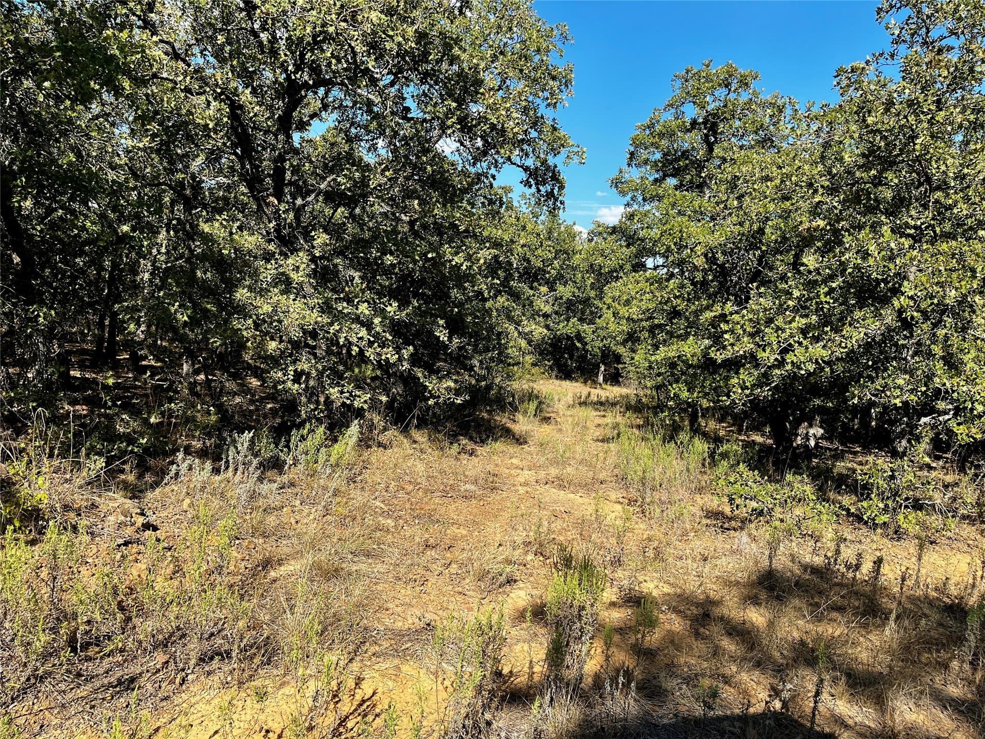 78.96 acres in Jack County - photo 11
