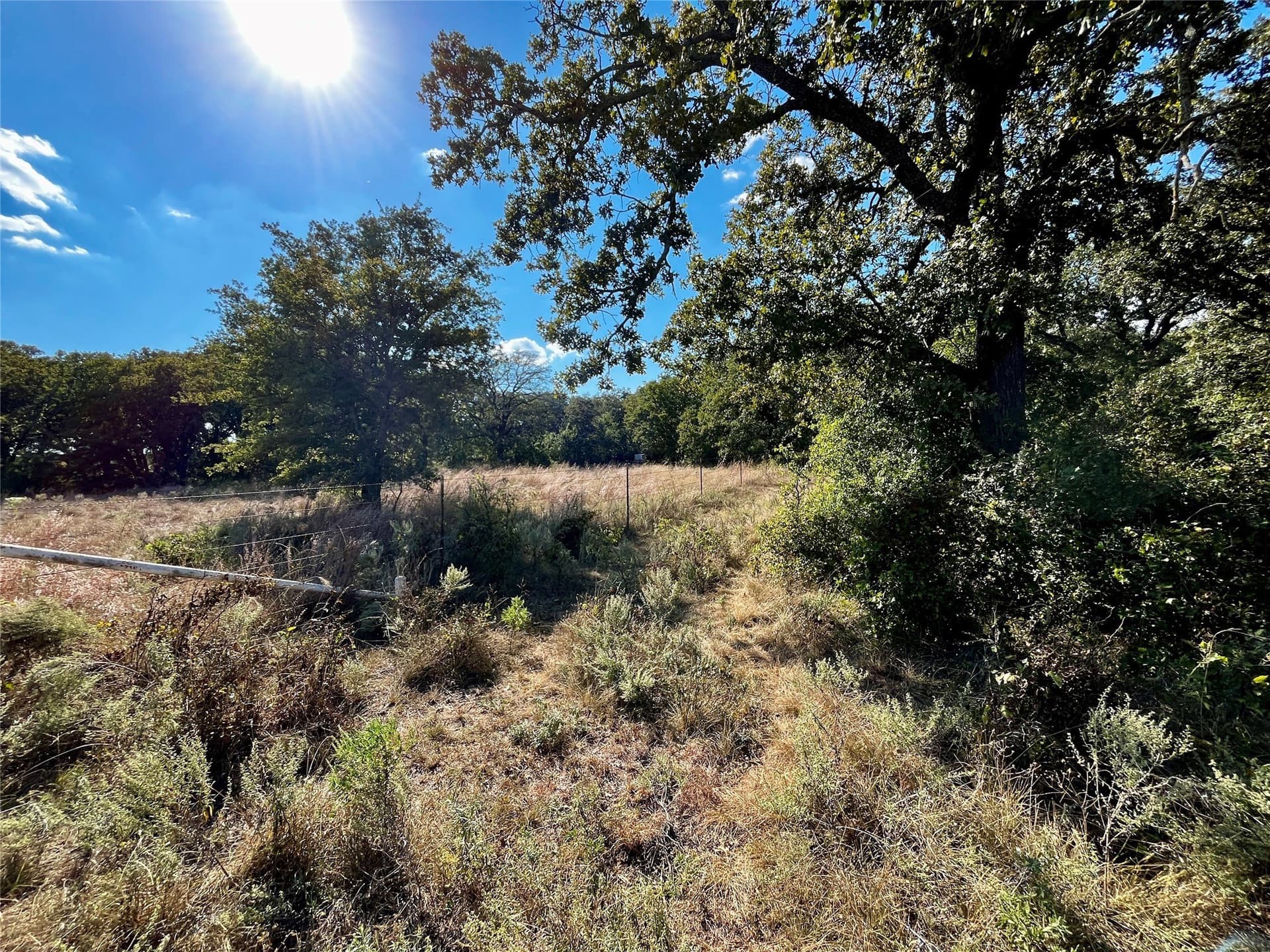 78.96 acres in Jack County - photo 9