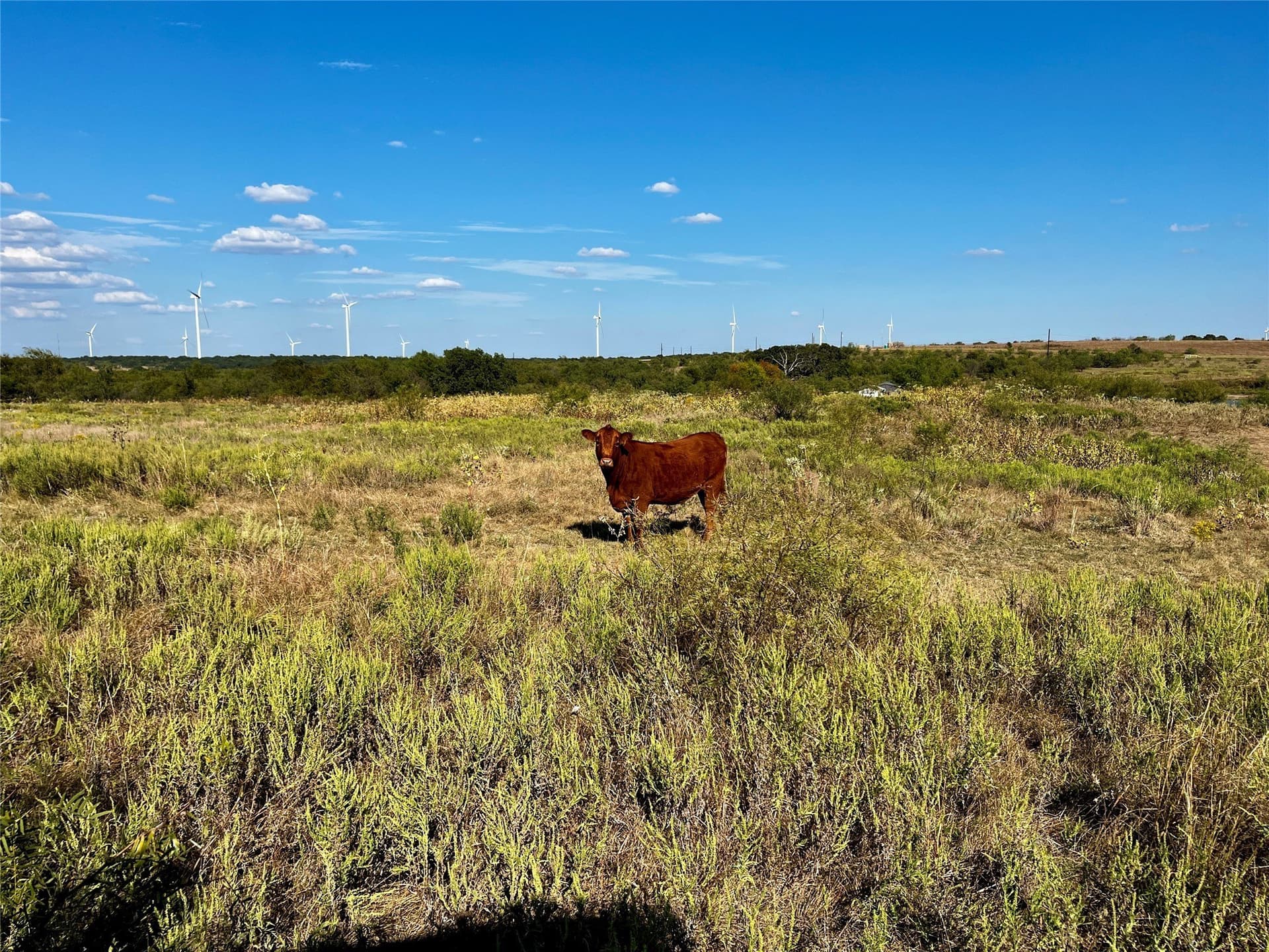 78.96 acres in Jack County - photo 30