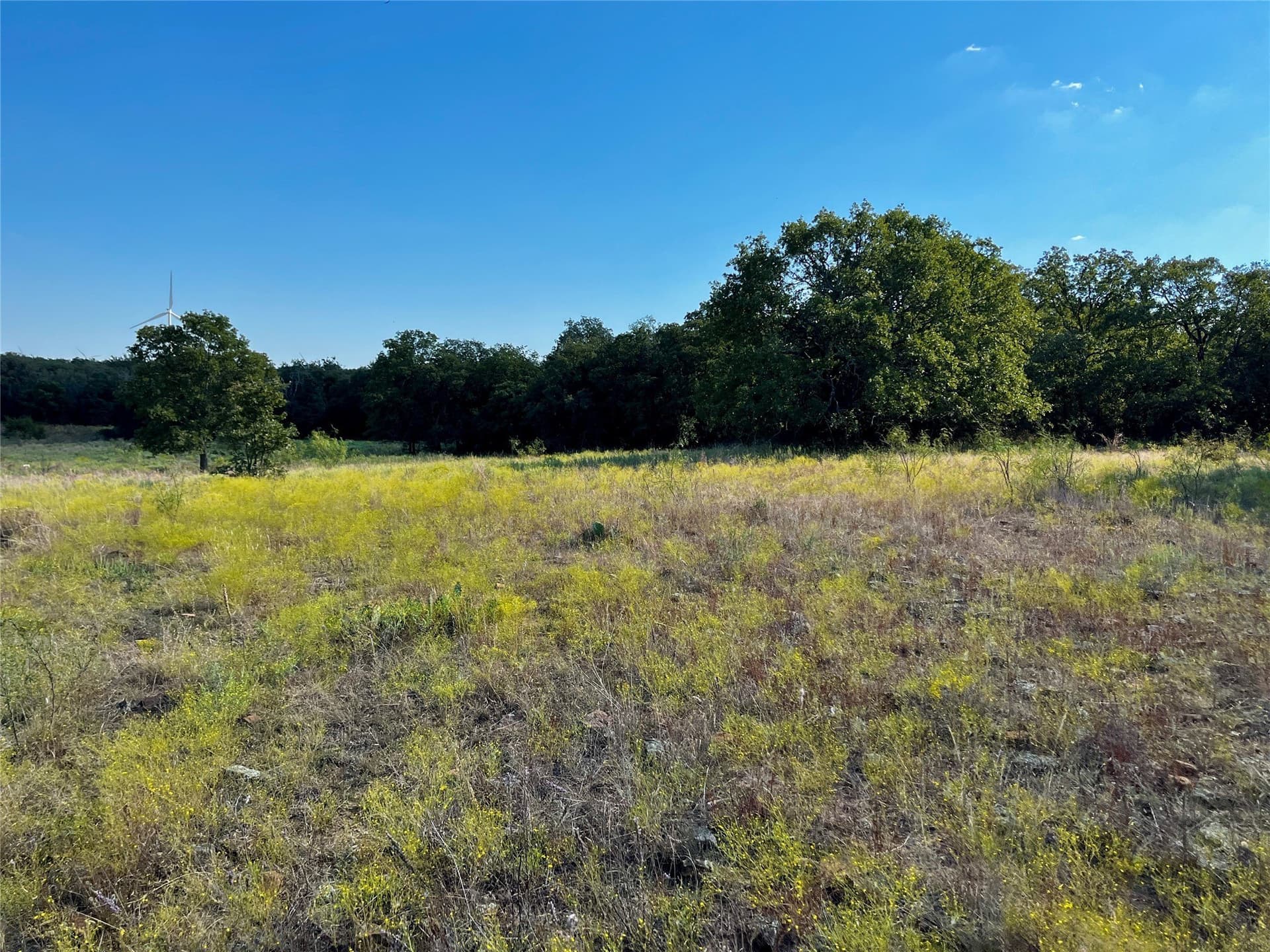78.96 acres in Jack County - photo 17