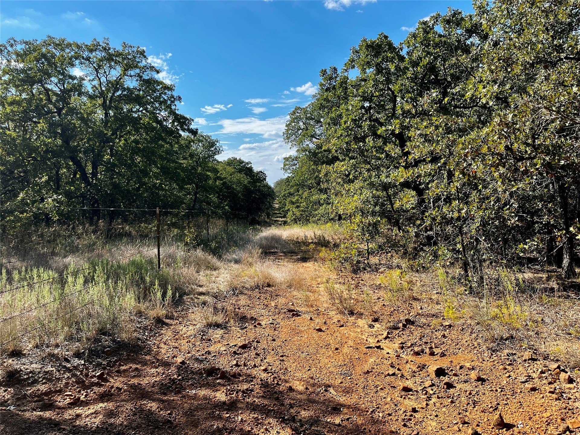 78.96 acres in Jack County - photo 12