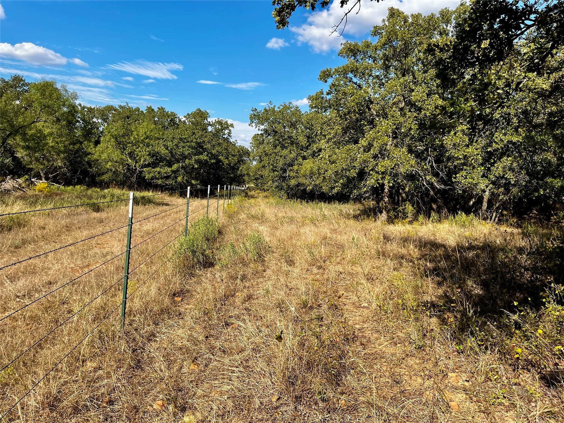 78.96 acres in Jack County - photo 13