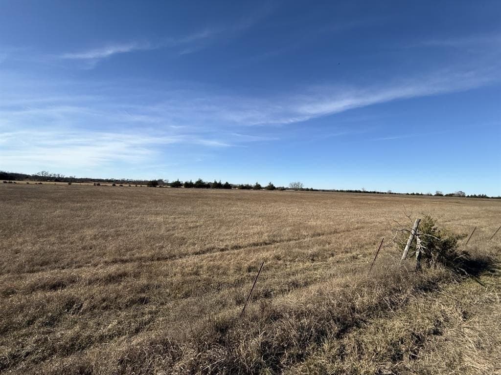 11.72 acres in Lamar County gallery image 3