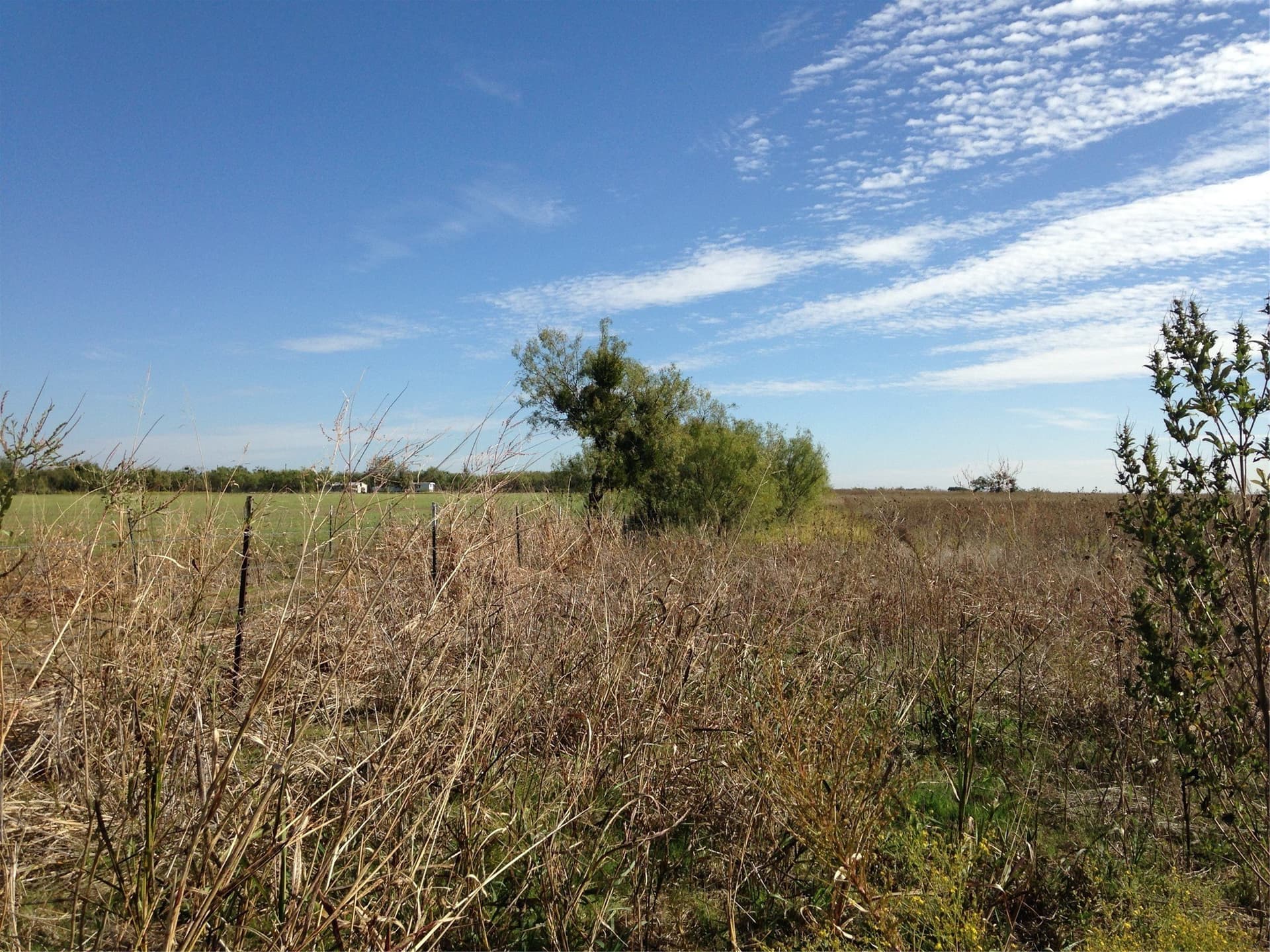 20 acres in Callahan County - photo 5