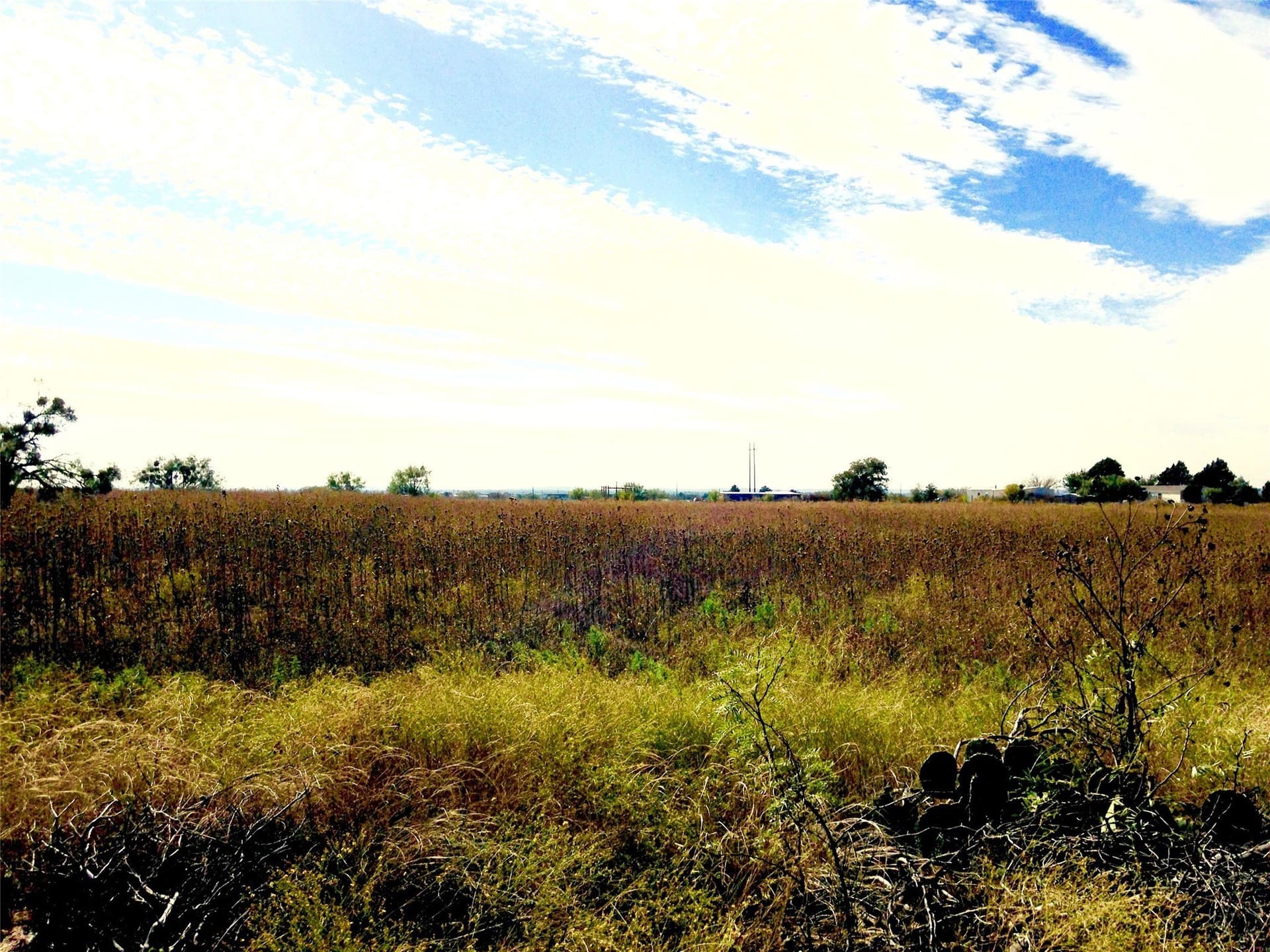 20 acres in Callahan County - photo 2
