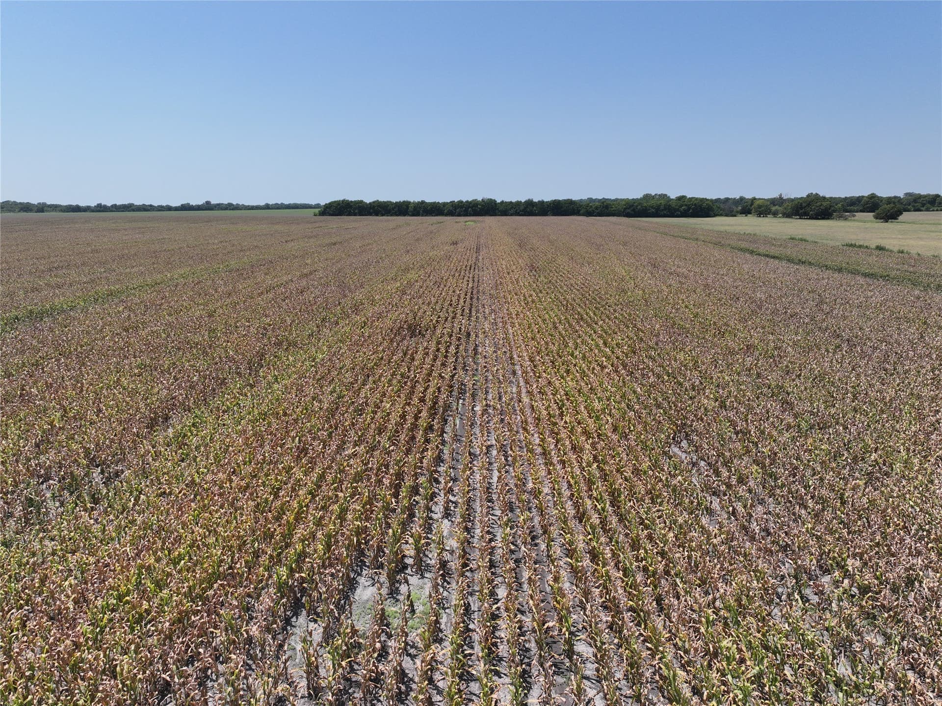 152.89 acres in Lamar County - photo 4