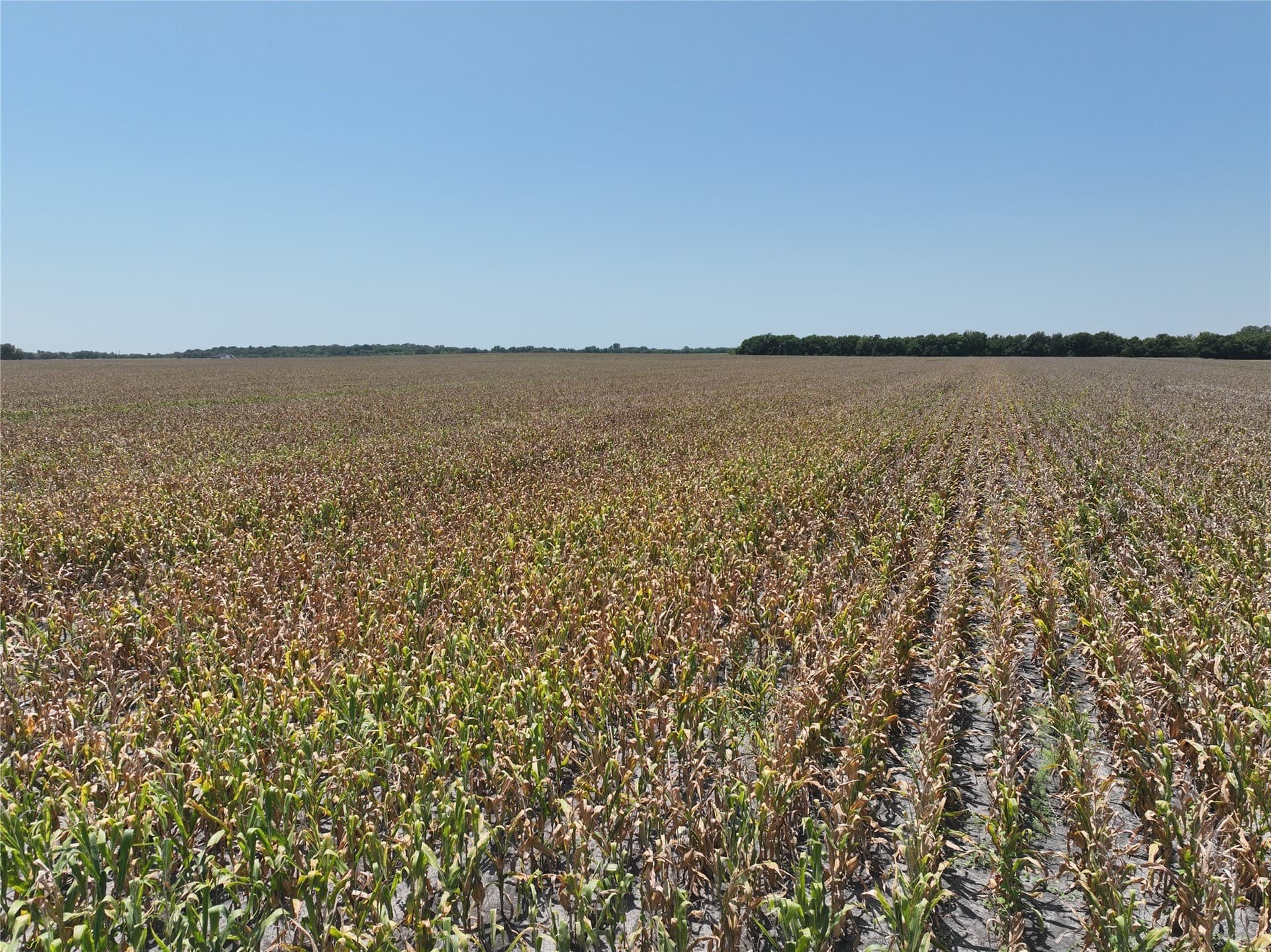 152.89 acres in Lamar County - photo 5