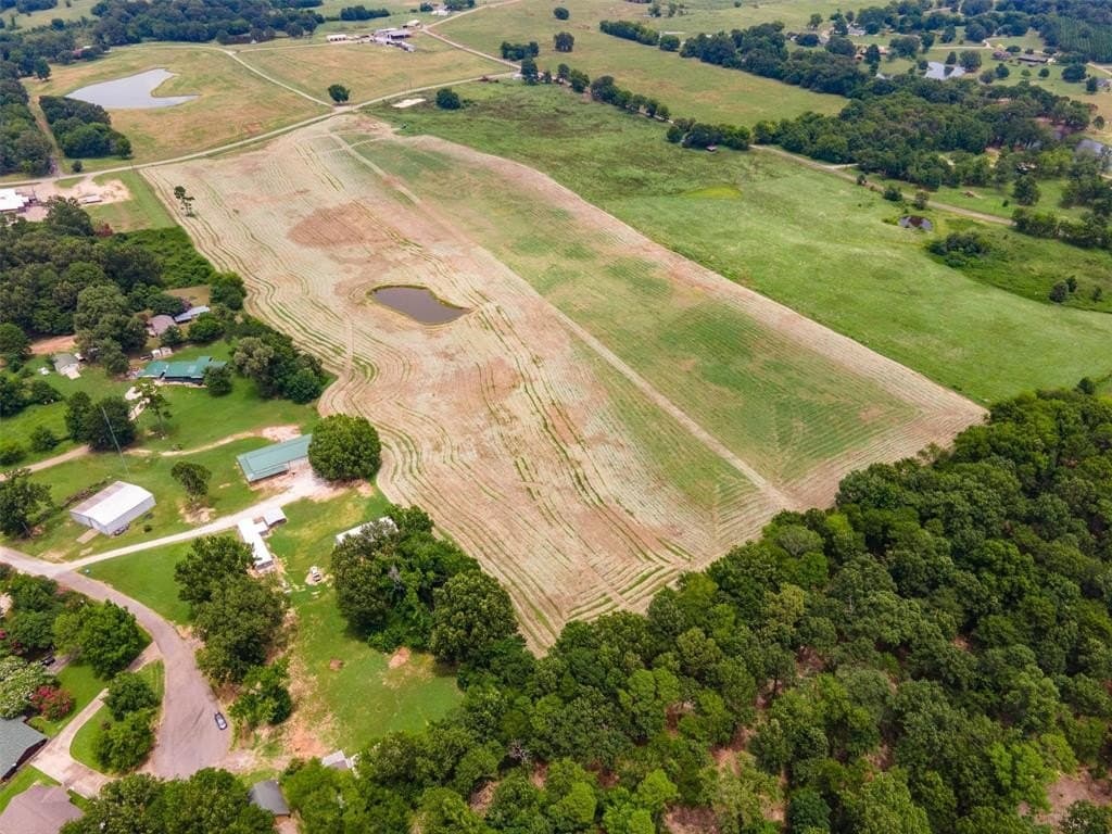 11.73 acres in Titus County gallery image 4